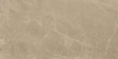 AEOG Marvel Elegant Sable 30x60