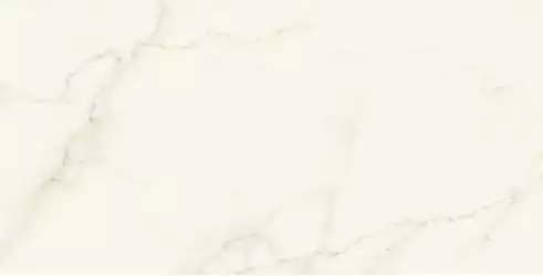 AFU2 Marvel Calacatta Apuano Lappato 120x240
