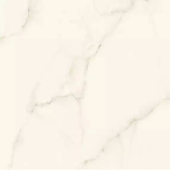 AFVJ Marvel Calacatta Apuano Silk 120x120