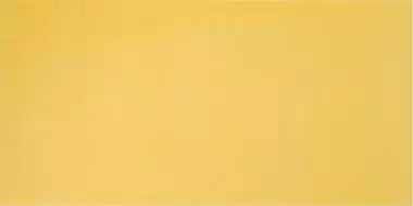 AGATHA AMARILLO 25x50