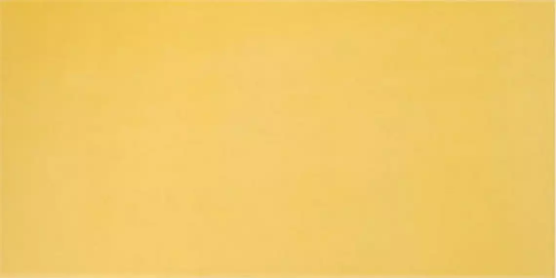 AGATHA AMARILLO 25x50