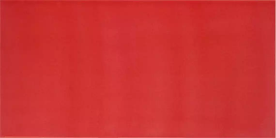 AGATHA CARMIN 25x50