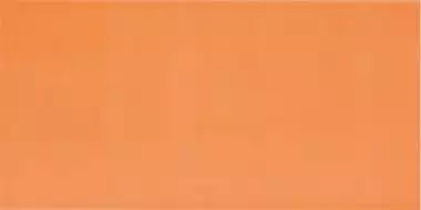 AGATHA NARANJA 25x50