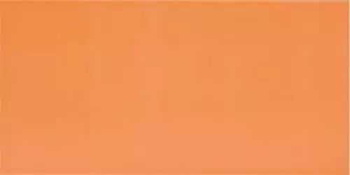 AGATHA NARANJA 25x50