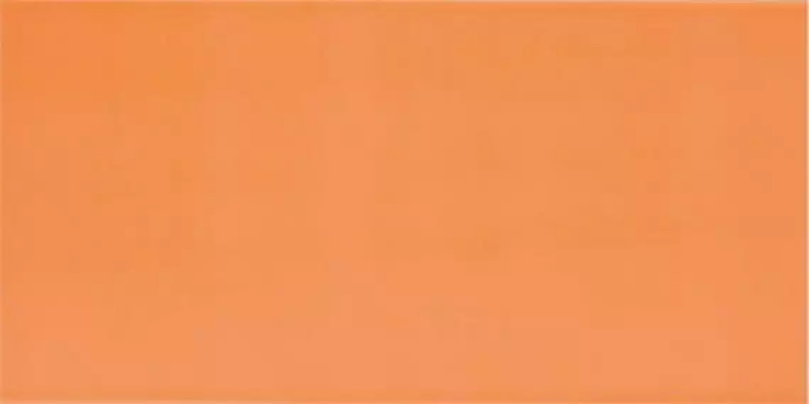 AGATHA NARANJA 25x50