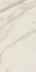 AGB0 GOLDEN WHITE 60x120