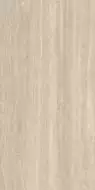 AGRQ Керамогранит Iconica Verso Classico Matt 60x120