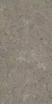 AI8R Marvel Meraviglia Grigio Elegante Velvet 60x120