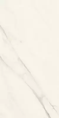 AJGJ Marvel Meraviglia Calacatta Meraviglia Velvet 60x120