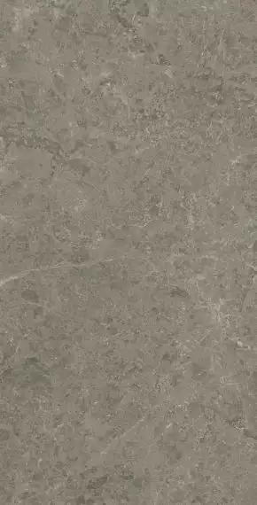 AJH0 Marvel Meraviglia Grigio Elegante Lapp. 75x150