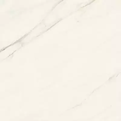 AJII Marvel Meraviglia Calacatta Meraviglia Velvet 120x120