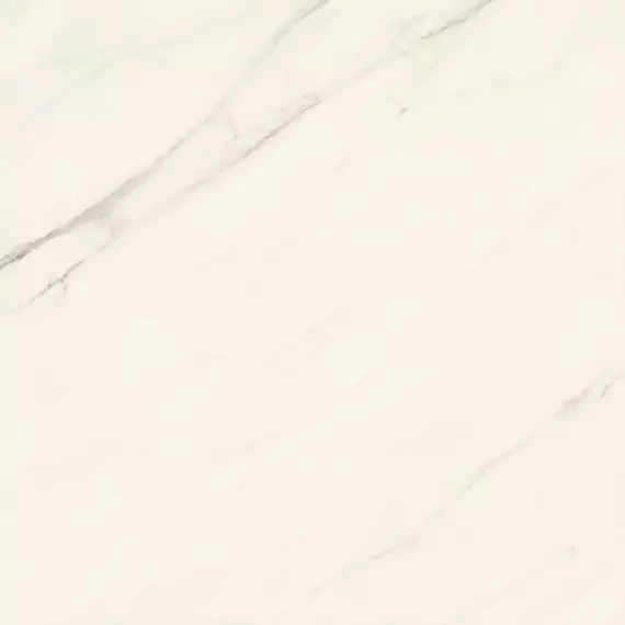 AJII Marvel Meraviglia Calacatta Meraviglia Velvet 120x120