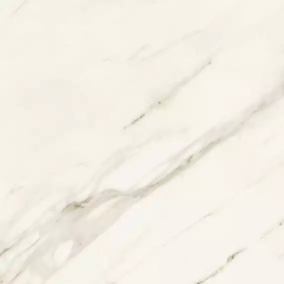AJJB Marvel Meraviglia Calacatta Bernini Matt 60x60