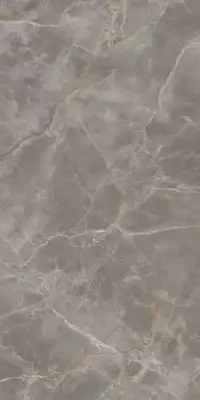 AJRV Керамогранит Fior di Bosco Lappato 160x320