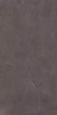 AKGB Керамогранит Precious Brown Silk 160x320