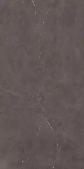 AKGB Керамогранит Precious Brown Silk 160x320