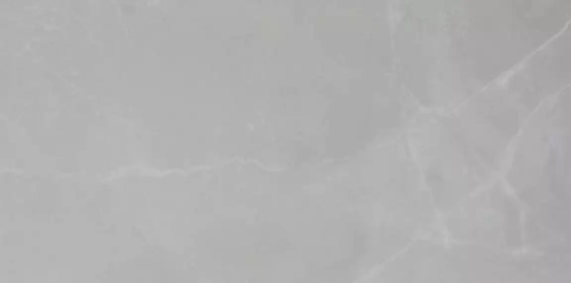 AMANI MARBLE LIGHT GREY LAPPATO 60x120