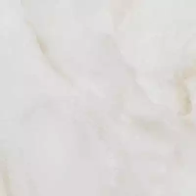 AMARNA SHELL Leviglass Rect. 120x120