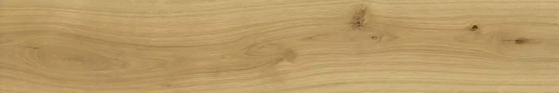 AO48 Exence Almond 120x20