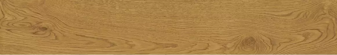 AO49 Exence Amber 120x20