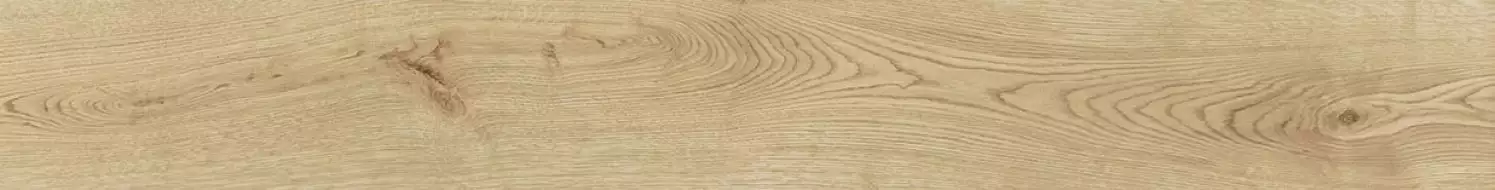 AOUH Exence Vanilla 18,5x150