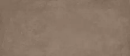 APMZ Raw Mud 120x278