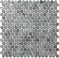 APN-01 310x310