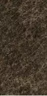 ARAA100U010A2 Dark Emperador Luc Shiny 150x300