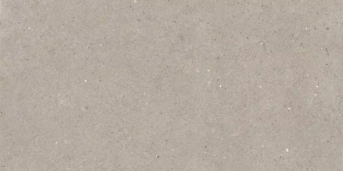 ARGENT6 12 60x120