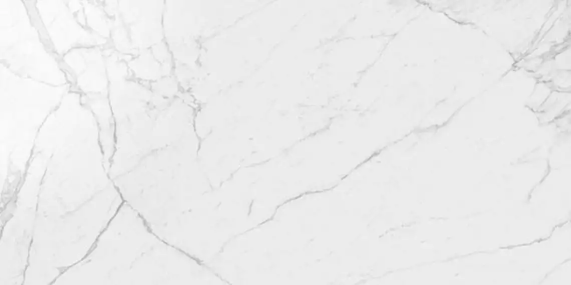 AY2N Marvel Calacatta Extra Lappato 120x240
