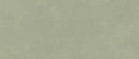 AYR7 Плитка Boost Expression Olive Matte 50x120