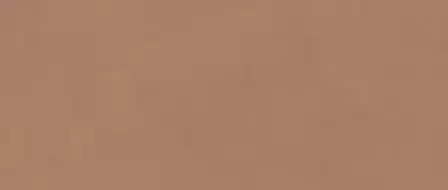 AYR9 Плитка Boost Expression Sienna Matte 50x120