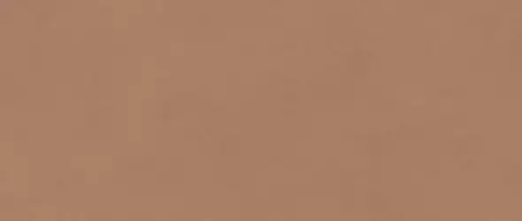 AYR9 Плитка Boost Expression Sienna Matte 50x120