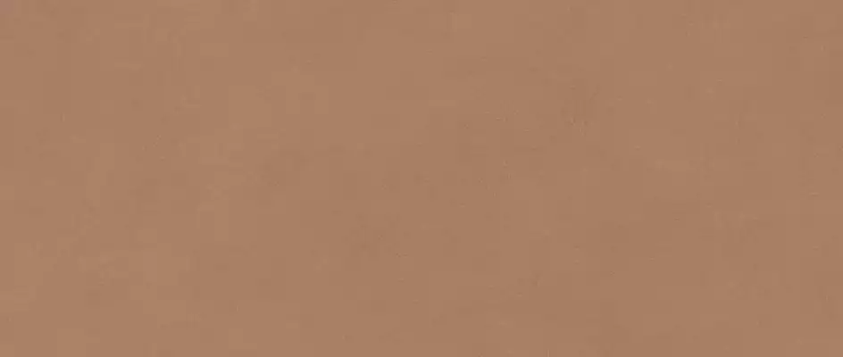AYR9 Плитка Boost Expression Sienna Matte 50x120