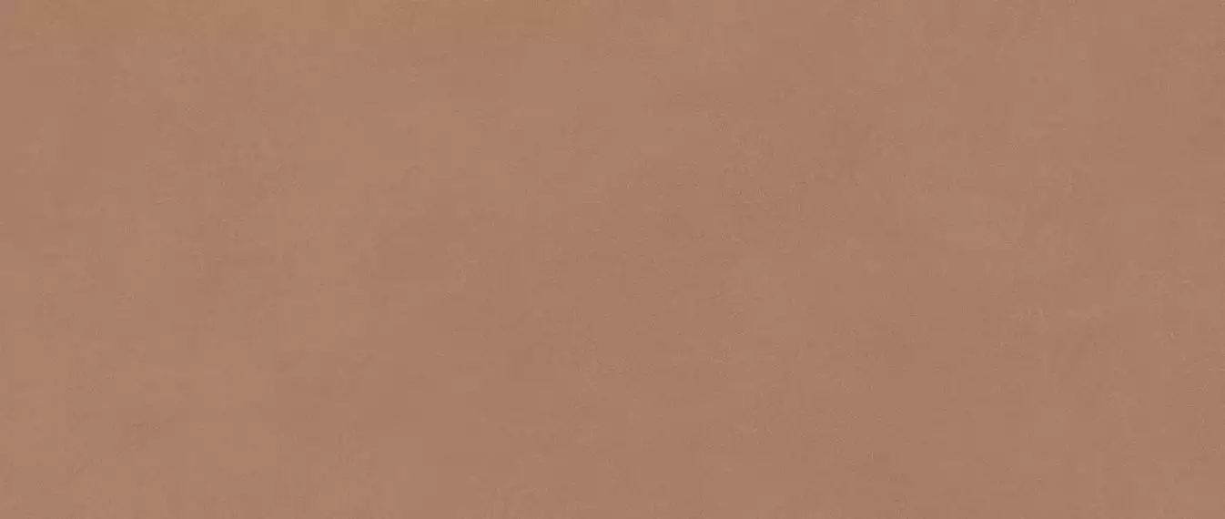 AYR9 Плитка Boost Expression Sienna Matte 50x120