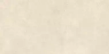 AYU2 Керамогранит Boost Expression Shell Grip 60x120