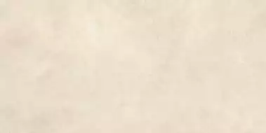 AYUX Керамогранит Boost Expression Shell Matt 60x120