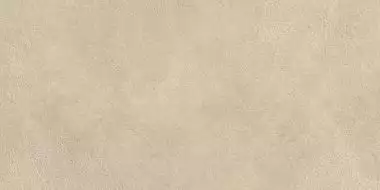 AYV1 Керамогранит Boost Expression Tan Matte 30x60