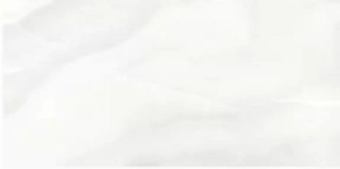 Abs Wh6 12Lp 60x120