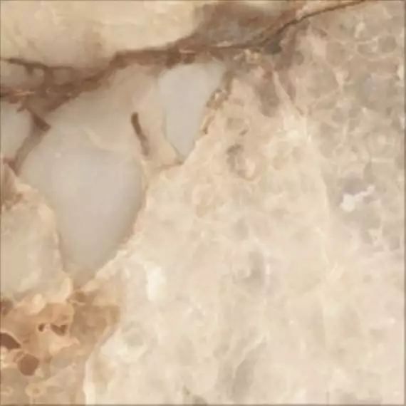 Ajmer Gold 60x60