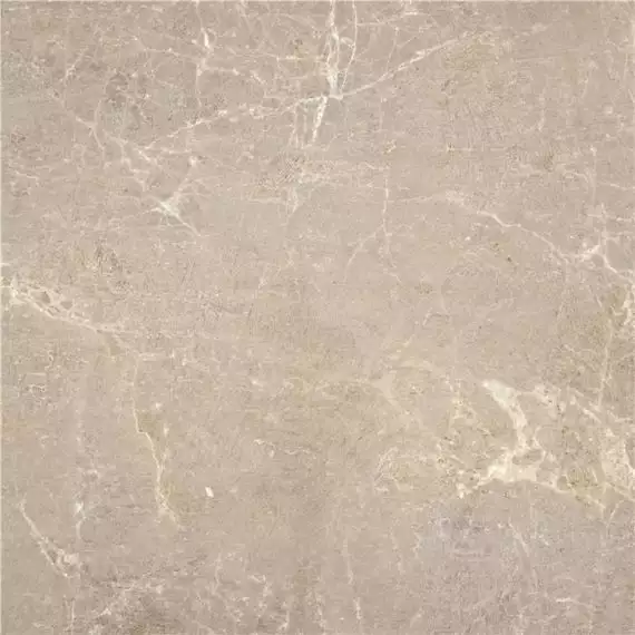 Albury Camel 60x60