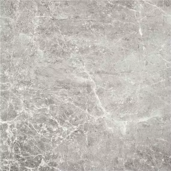 Albury Gray 60x60
