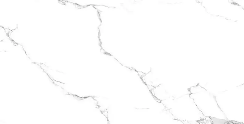 Alcora Bianco Polished 60x120