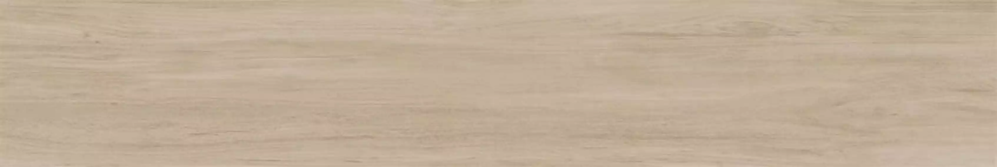 Alessandria Bone 19.5x120