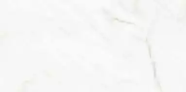 Alexandra White Polished 60x120