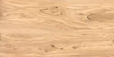 Alpine Natural Wood Matt 60x120