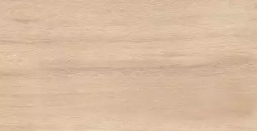 Amazon Wood Beige Matt 60x120