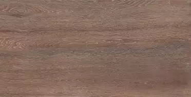Amazon Wood Brown Matt 60x120