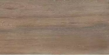 Amazon Wood Natural Matt 60x120