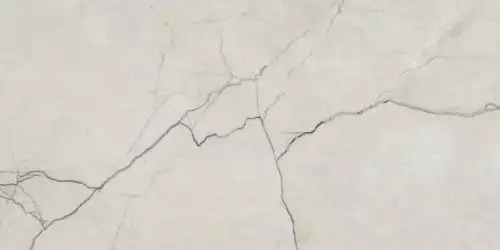Amboise Lux Pol Rect 60*120